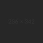 CORVUS IT SP. Z O.O.